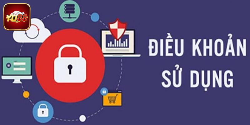 Điều khoản sử dụng quan trọng thế nào đối với người dùng