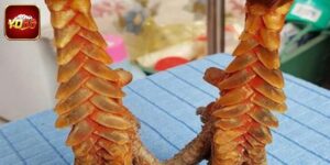 Gà Vảy Rồng - Chiến Kê Quý Hiếm Với Sức Hút Khổng Lồ