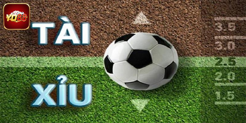 Tìm hiểu cách đọc dễ dàng trong kèo tài xỉu là gì