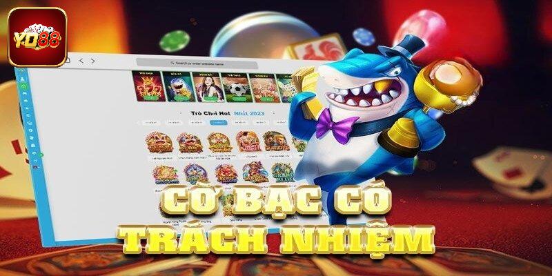 Tổng quan sơ lược về cá cược có trách nhiệm
